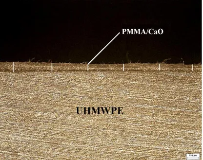 Figure  4  shows  the  cross  section  morphologies  of  PMMA/CaO  coating  on  UHMWPE  used  for  thickness  determination  as  representative