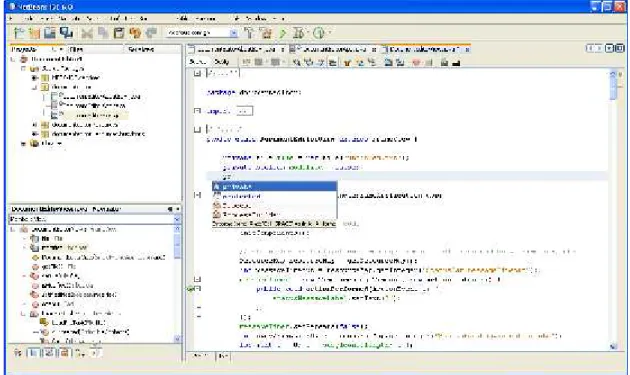Figura 46-1: NetBeans y Java