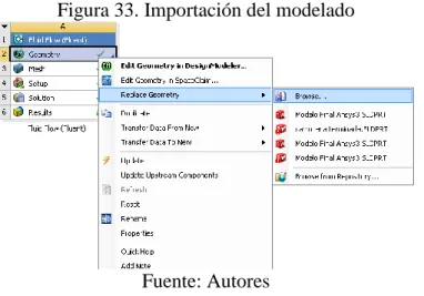 Figura 33. Importación del modelado 