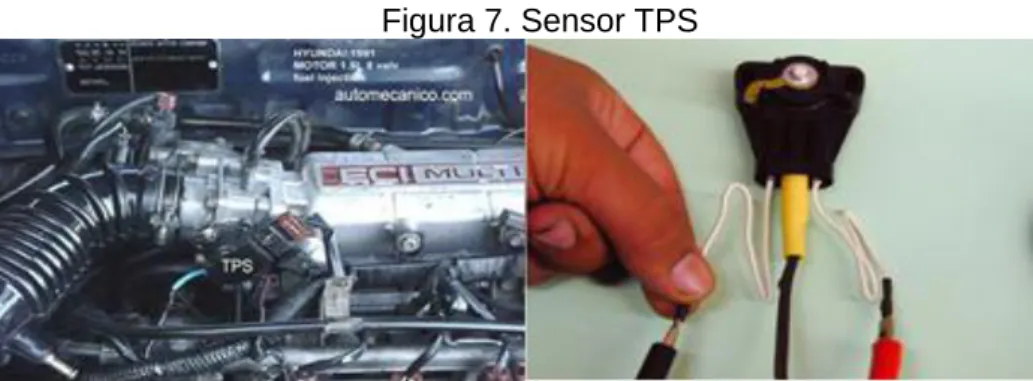 Figura 7. Sensor TPS 