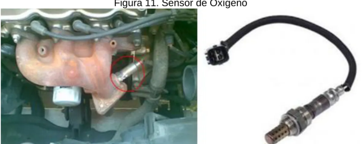 Figura 11. Sensor de Oxígeno 