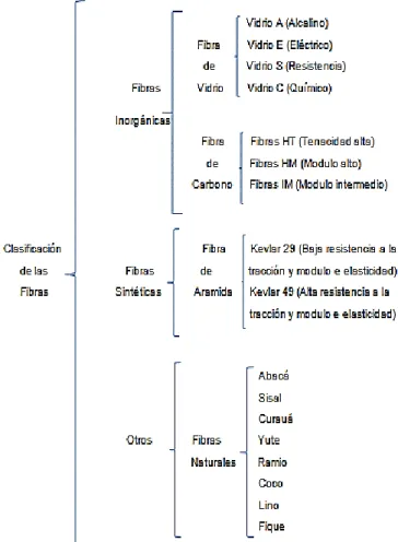 Figura 12. Clasificación de las fibras 