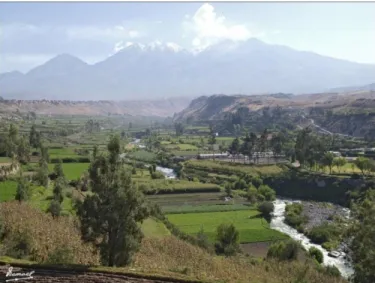 Figura 1: Imagen valle de Chilina