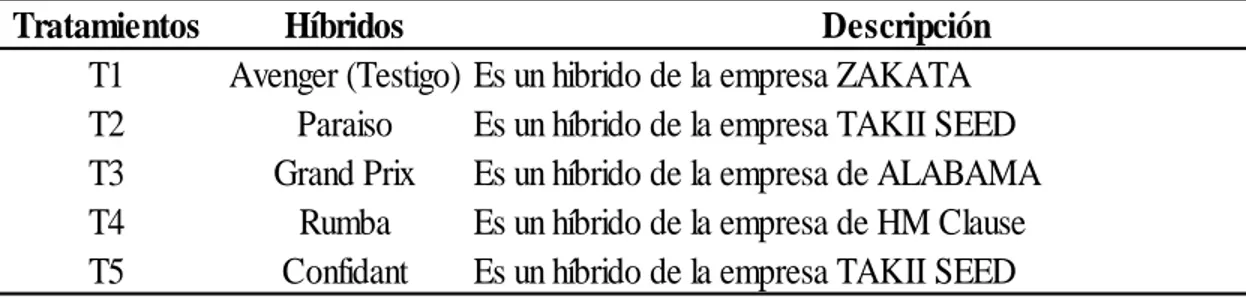 Tabla 5: Breve descripción de los tratamientos, para rendimiento de cuatro híbridos de  brócoli  (Brassica oleracea L