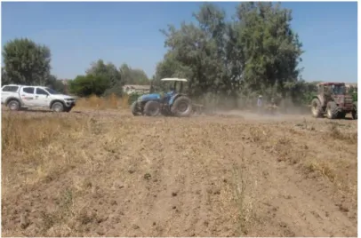 Figura 7. Labores de labranza mínima en la zona experimental (tractor Agrícola con  implemento de cincel + rastra de dientes)