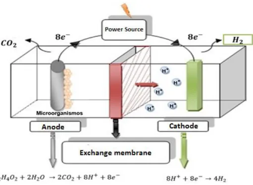 Figure 12. Diagram of the operation of an MEC. 