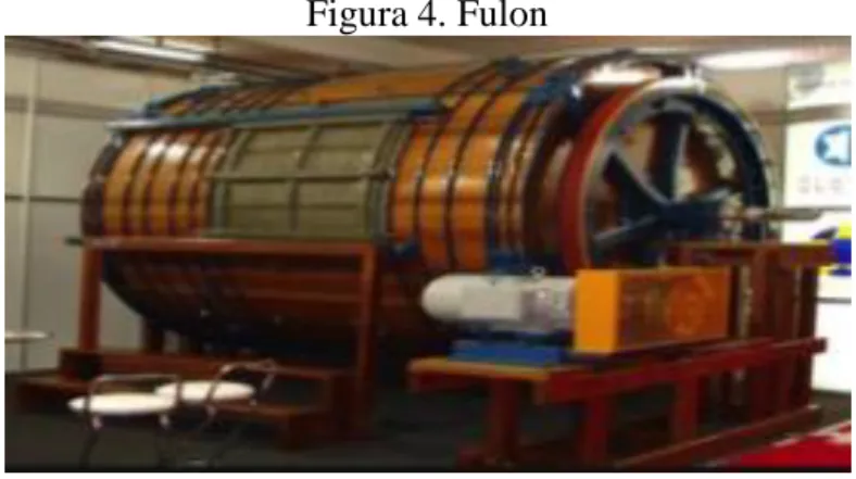 Figura 4. Fulon 