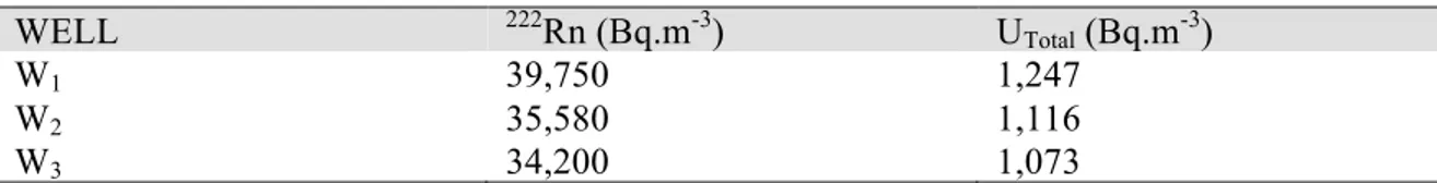 Table 3 Specific volumetric activities in three wells sampled in Aldama. 