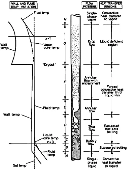 Figura 11. Regímenes de ebullición convectiva en un tubo vertical 