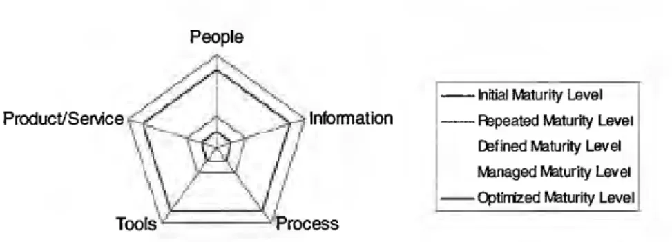 Figure 6. Maturity levels representation 