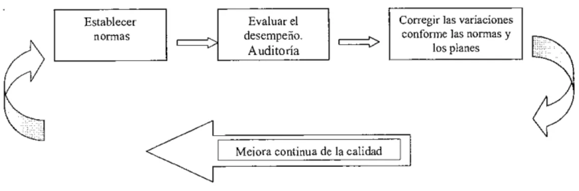 Figura 2.  Proceso de la mutilaría. 