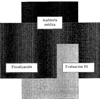 Figura 1. Conceptos erróneos acerca de la auditoría. 