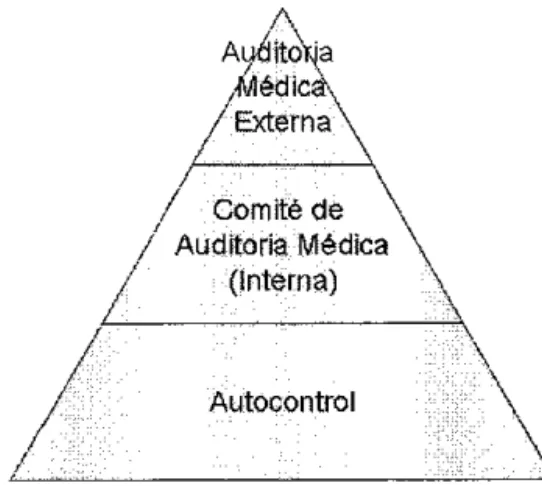 Figura 4. Niveles de aplicación 