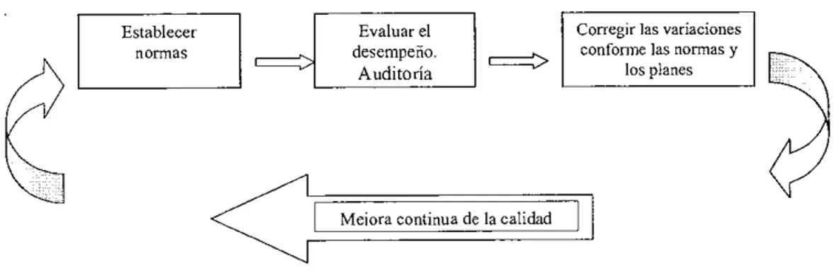 Figura 2.  Proceso de la mutilaría. 