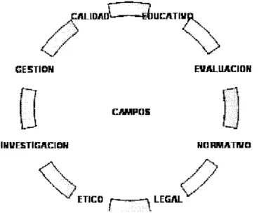 Figura 3.  Campos de acción de la auditoría médica. 