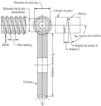 Figura 9. Forma de funcionamiento de un tornillo sinfín. 