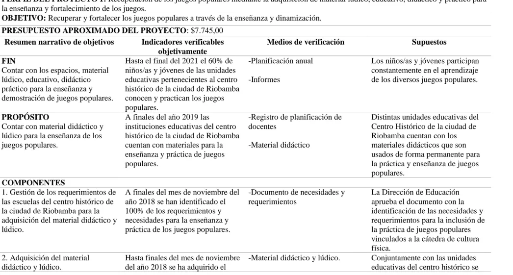 Tabla 12. Perfil del proyecto 1 del programa 1 