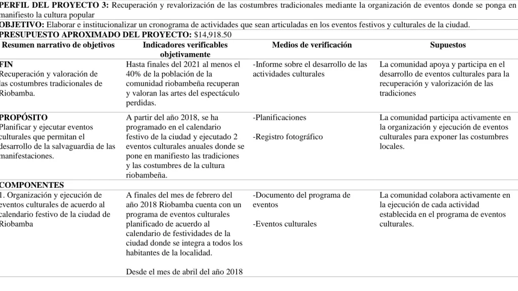 Tabla 14. Perfil del proyecto 3 del programa 1 