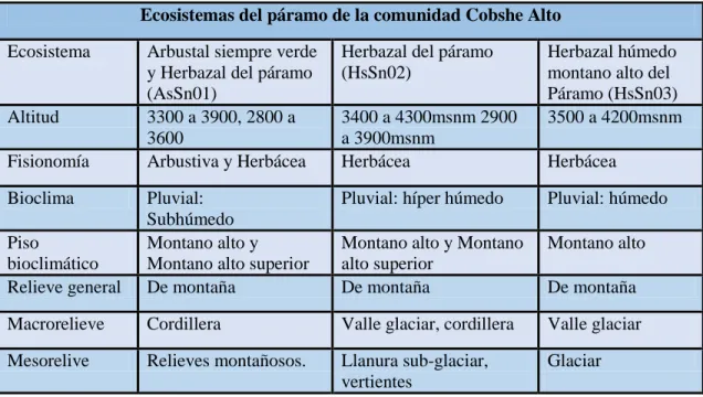Cuadro N°  10. Ecosistemas de cobshe alto 