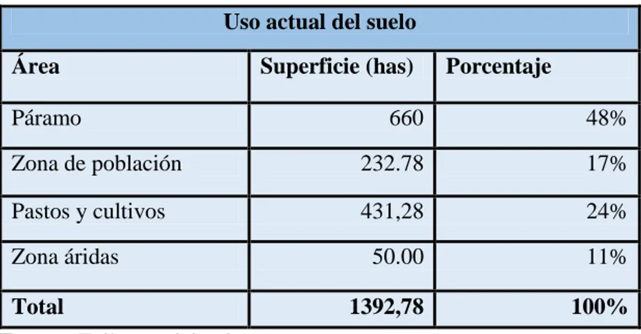 Cuadro N°  12. Uso actual del suelo 