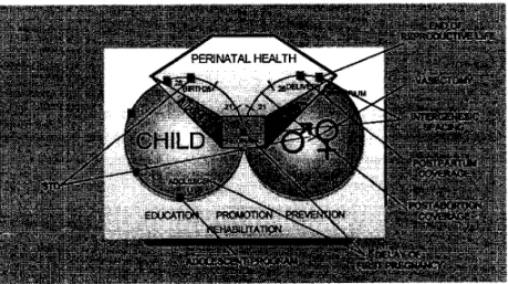 Figure 11.7 The attention process in the reproductive health 