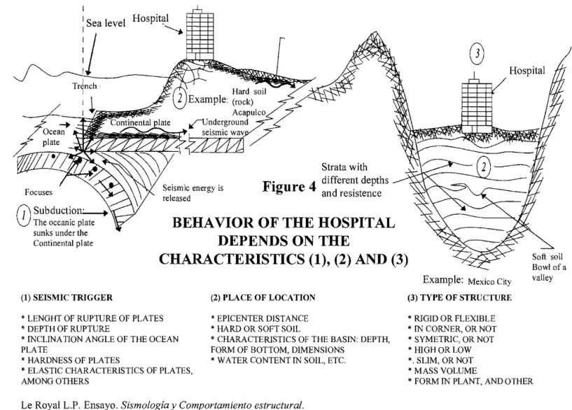 Figure 4  and resistente Focuses 