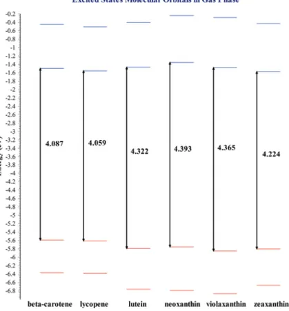 Figure 3. Excited  states  molecular  orbitals  for  selected  carotenoid  structures