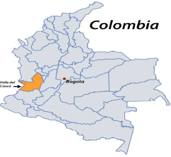 Figura 1. Mapa de Colombia y Valle del Cauca