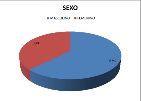 Gráfico No 1.  