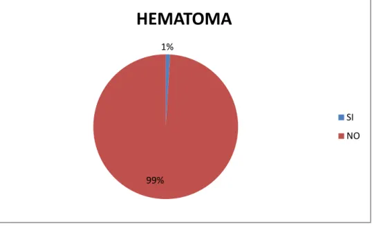 Gráfico No 7.  