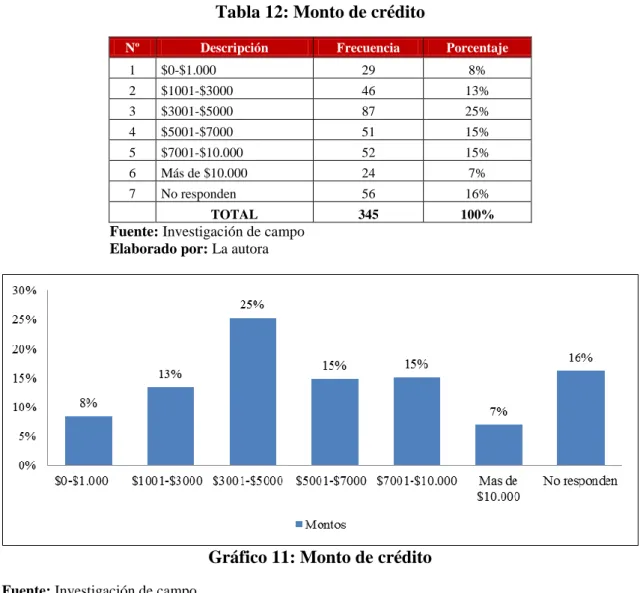 Tabla 12: Monto de crédito 
