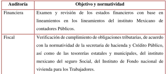 Ilustración 2: Distintos tipos de Auditoría 