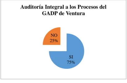 Gráfico 8: Auditoría Integral a los Procesos efectuados por el GAD 