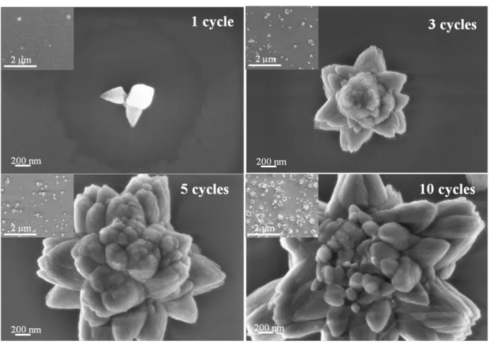 Fig. 2 FE-SEM images of ZnO lily flower-like structures deposited by SILAR method at 90 °C and pH: 11.02