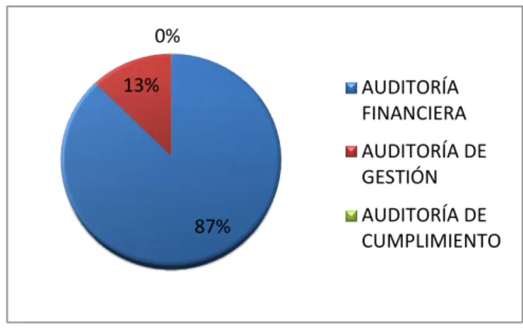 Gráfico N° 7: Tipos de Auditorías realizadas. 