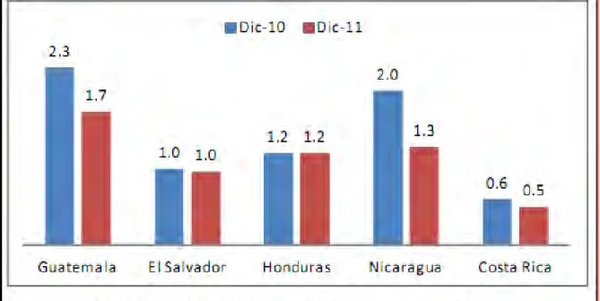 Gráfico No 8 
