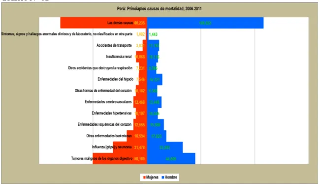 Gráfico N° 01 