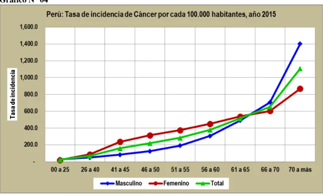 Gráfico N° 04 