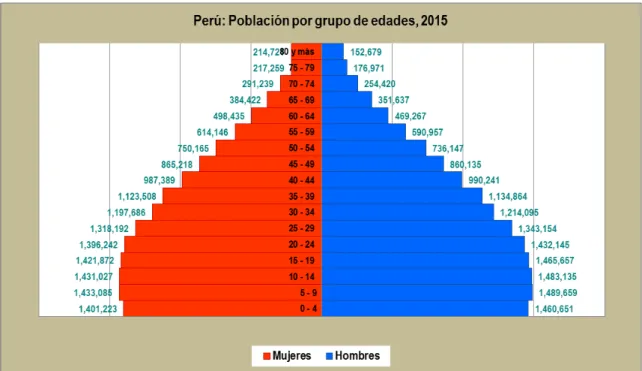 Gráfico N° 05 