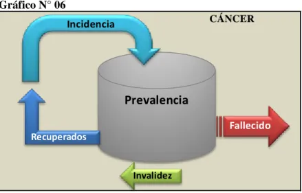 Gráfico N° 06 