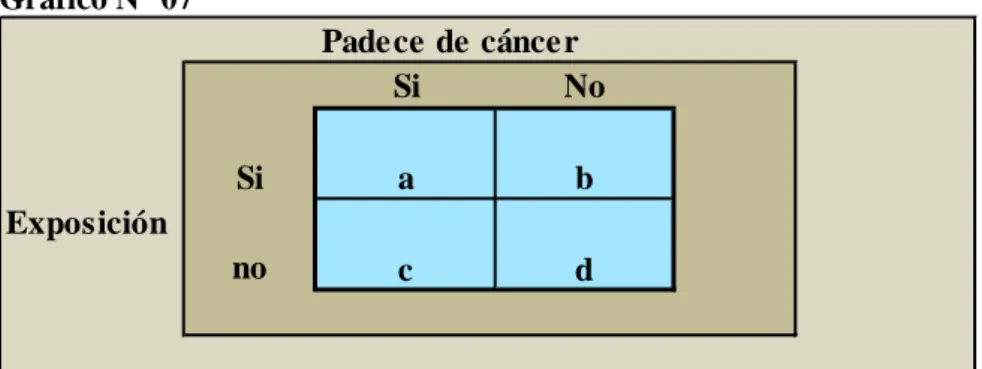 Gráfico N° 07 