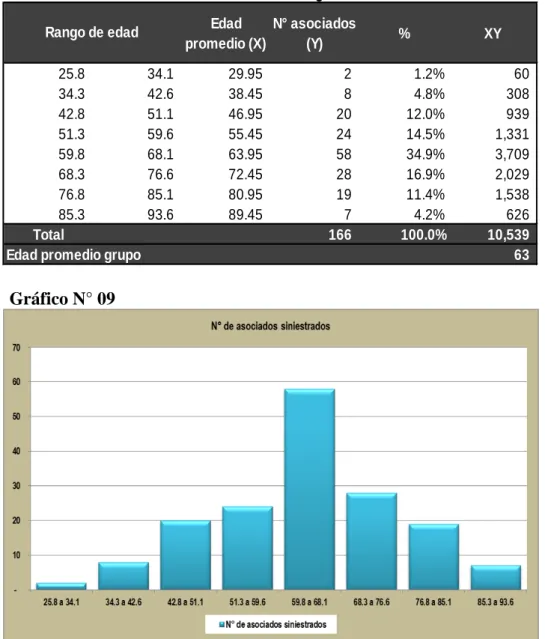 Gráfico N° 09 