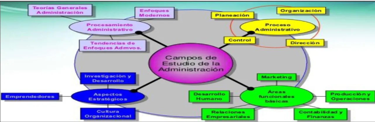 Gráfico 3: Campos De Estudio De La Administración 