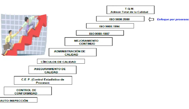 Gráfico 4: Evolución de la Gestión Por Procesos 