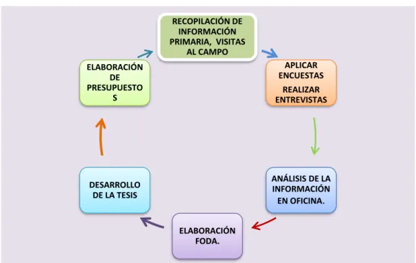 Figura No 1         Ciclo del proyecto 