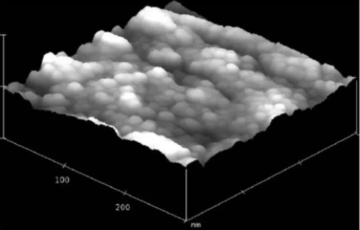 Fig. 2 shows an atomic force image from the 75/50 sample in the as-milled  condition. It is evident the relatively homogeneous crystal size ranging from ∼10 to∼20  nm