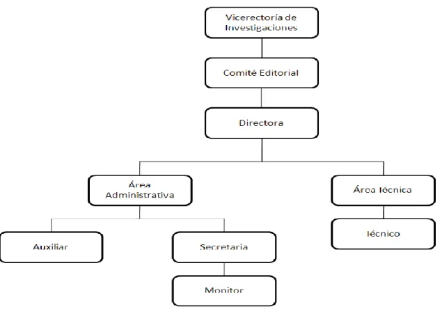 Figura 7. Organigrama del Programa Editorial  