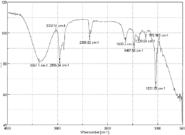 Gráfico 2-4: Espectro IR del TiO 2  obtenido día 2 