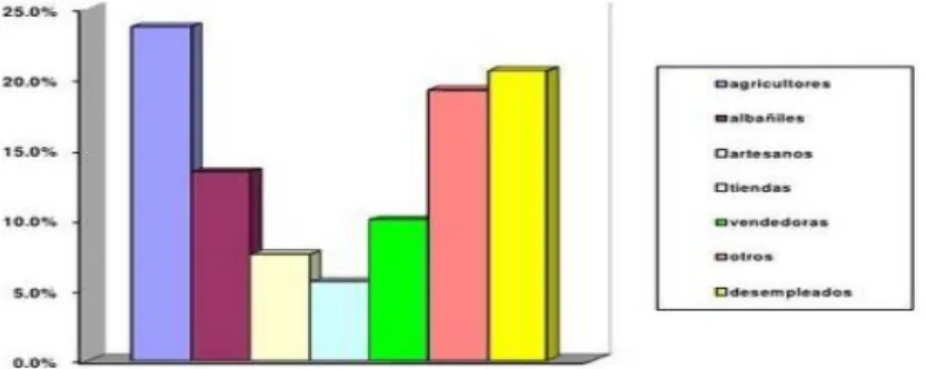 Gráfico 7-3  Distribución del nivel de ingresos  Fuente: Estudio Unach 2009 