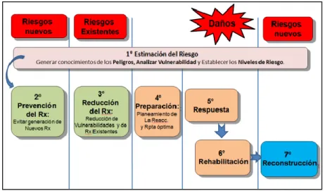 Figura 1. Procesos de la Gestión del Riesgo de Desastres. (Minsa, 2016) 
